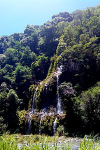 cascada, Saint-denis, illa de la reunió, natura, bosc, arbre, a l'exterior