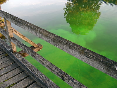 grön, vatten, grönt vatten, träbro