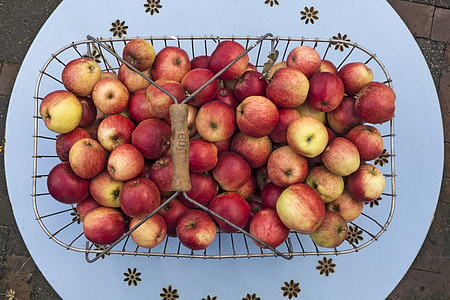 Apple, Boskoop, pome buah, apple musim panas, buah, sehat, matang