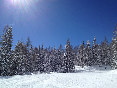 esqui, neve, sol, Inverno, paisagem, montanha, Alpes