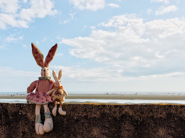 rabbits, clouds, wall, beach, easter, nature, bunny
