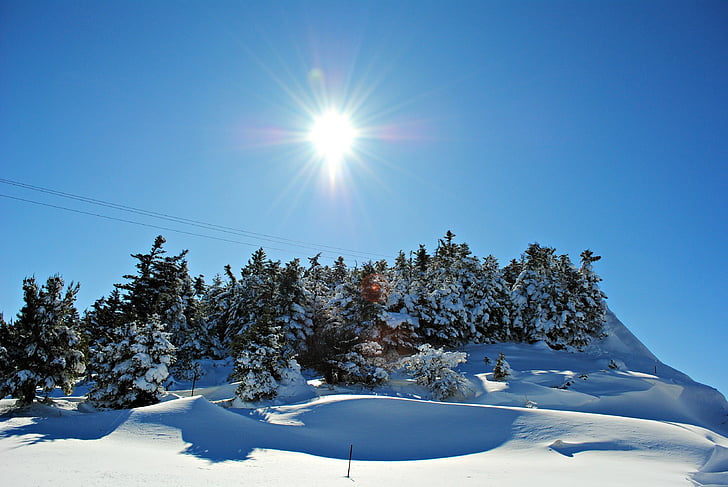 snöiga landskap, snö, vinter, landskap, kalla, vit, naturen