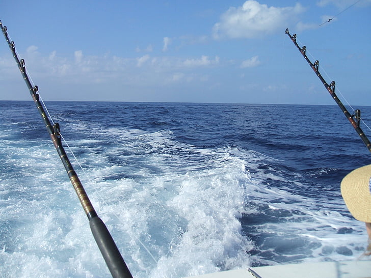 pesca, pesca en aigües profundes, Hawaii, vacances, viatges, Marina, Marlin