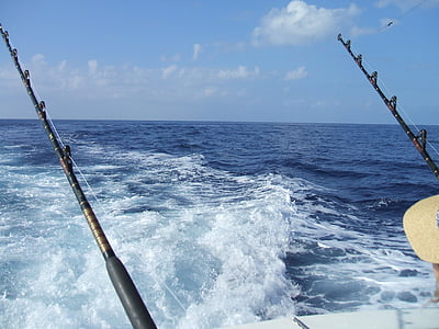 zveja, dziļjūras zveja, Hawaii, brīvdiena, ceļojumi, jūras, Marlin