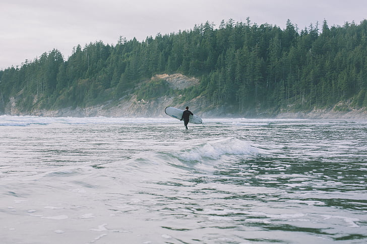 Océano, de surf, persona que practica surf, tablero, tabla de surf, árboles de pino, ondas