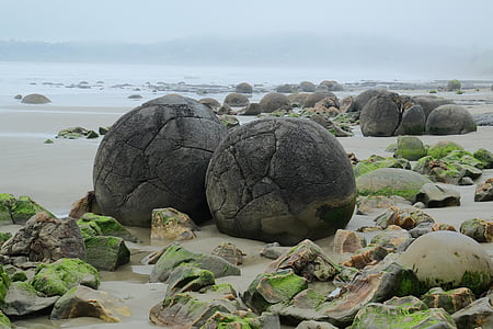 boulders, moeraki, koekohe beach, sea, nature, rocks, new zealand