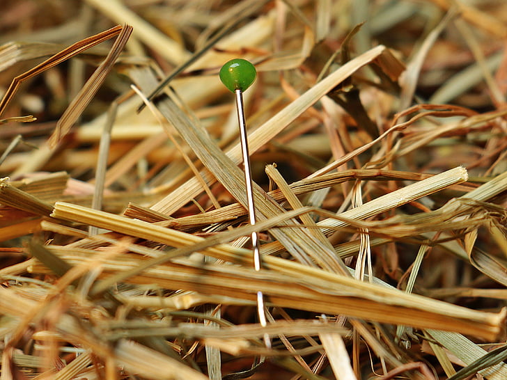 needle in a haystack, needle, haystack, love, pin, to find, search