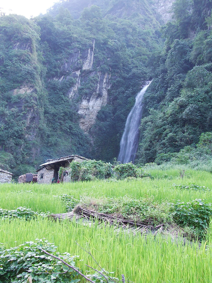 Nepal, Annapurna, trekking, cascata, Cottage, erba, verde
