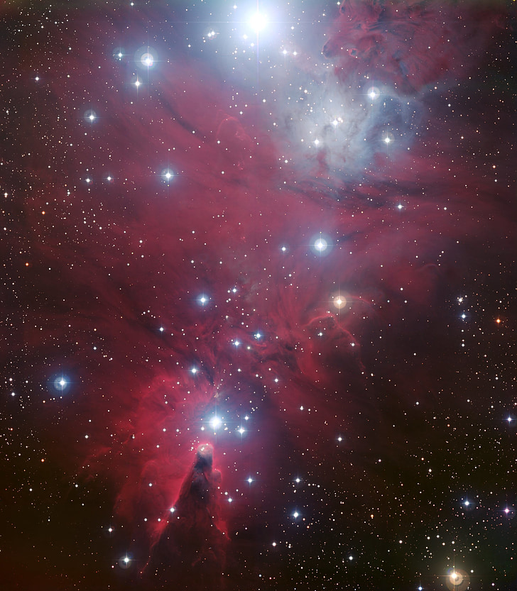 NGC 2264, mörk nebulosa, Cone nebulosa, stjärnhopar, julgran sternhaufen, diffusa mist, stjärnbilden Enhörningen