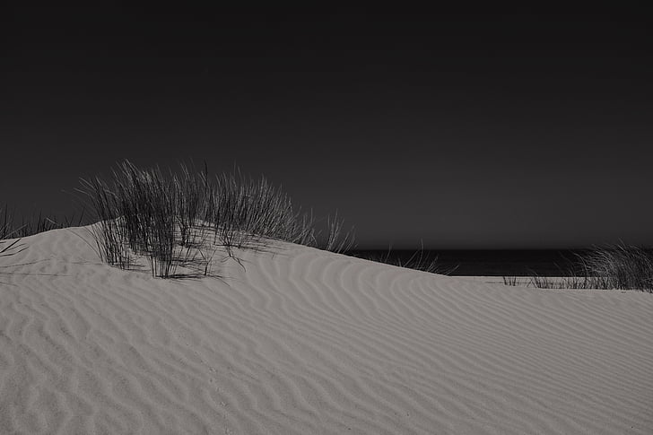 czarno-białe, wydmy, trawa, noc, piasek