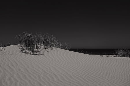 en blanco y negro, dunas, hierba, noche, arena