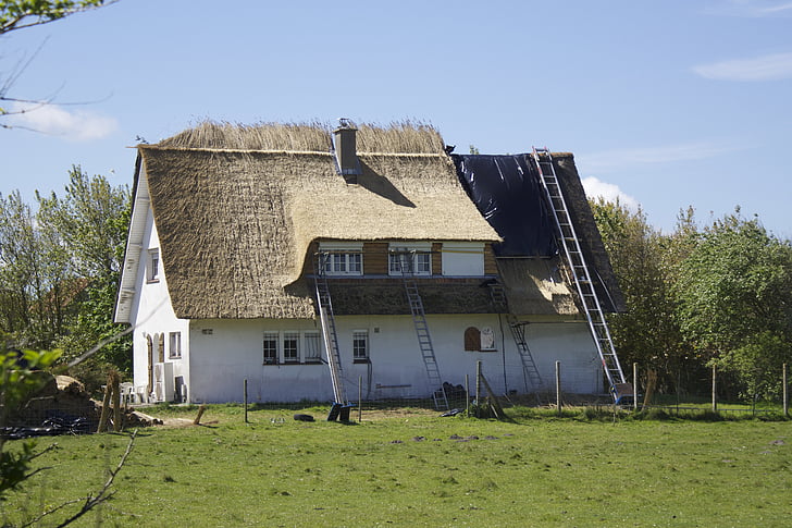 thatched roof, roof, roofers, reed, home, building, thatched