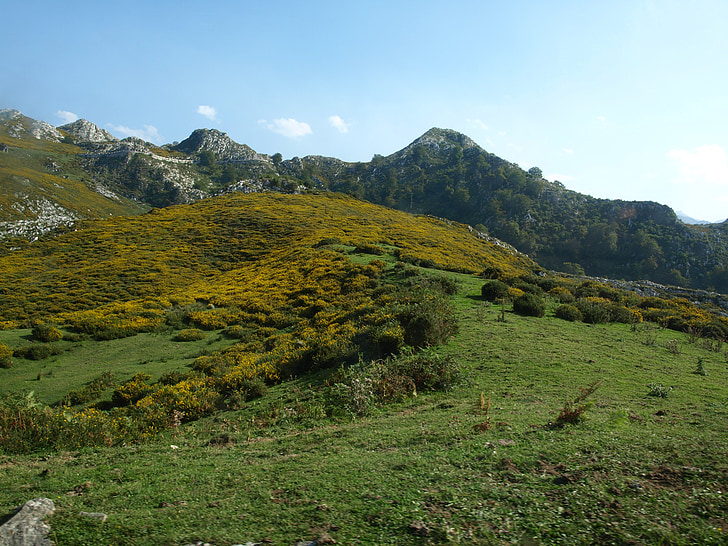 sjöar, Covadonga, Asturias, naturen