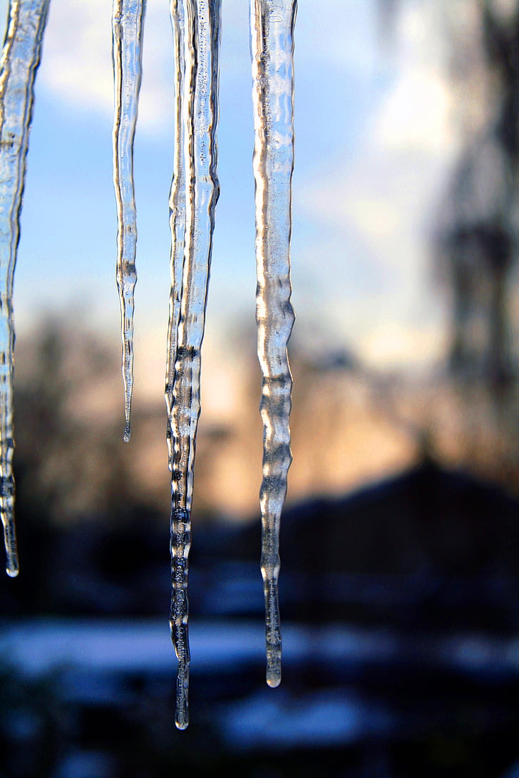icicles, cold, winter, ice, ze