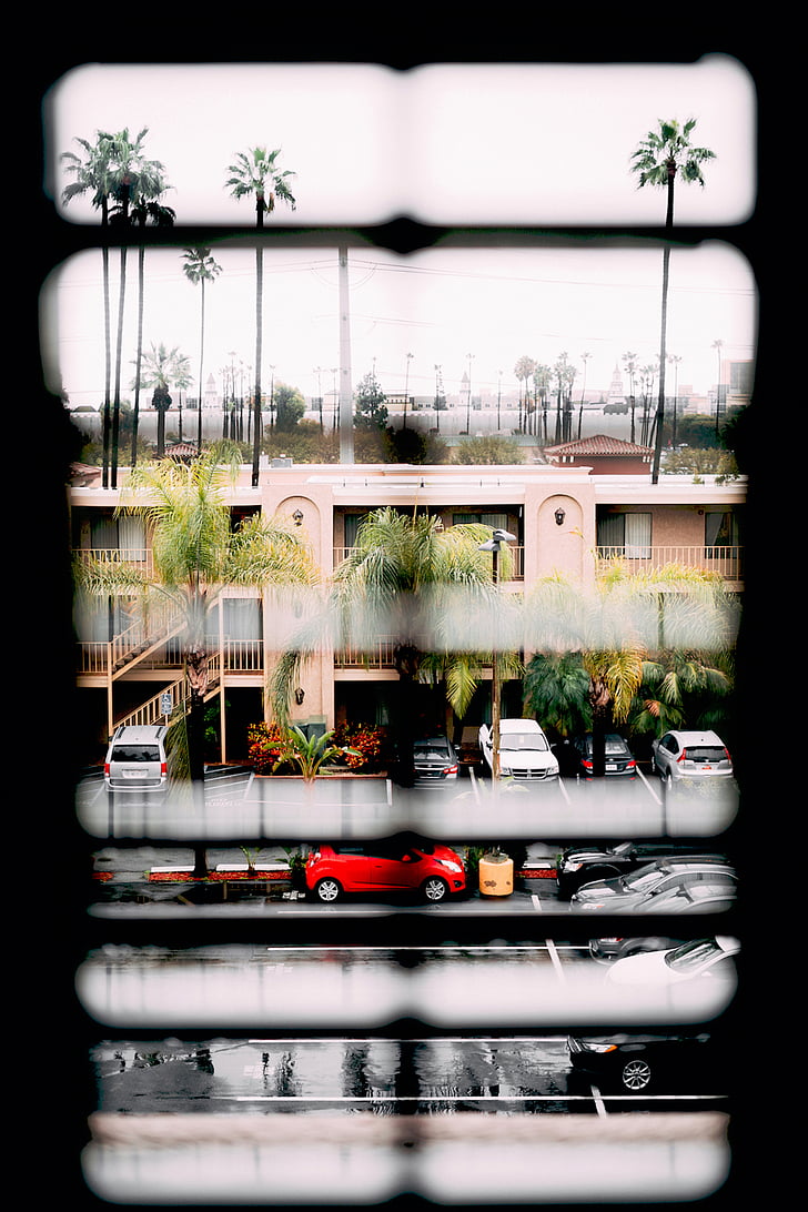 casa, finestra, cotxes, arbres, Apartament, veure, Panorama urbà