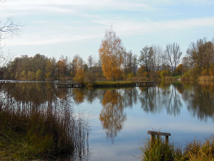 lake, perach, peracher bathing lake, altötting, badesee, water, autumn mood