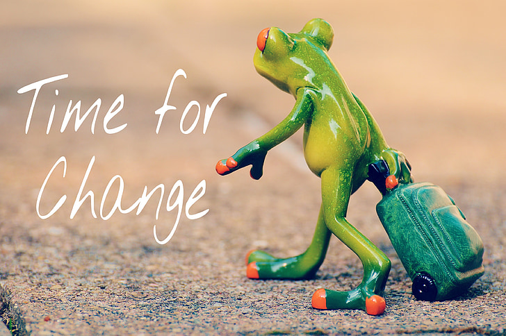 time for a change, courage, new beginning, frog, farewell, travel, luggage
