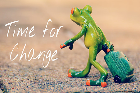 čas na změnu, odvaha, nový začátek, žába, Sbohem, cestování, zavazadlo