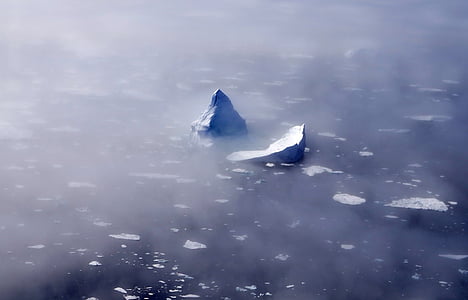 isberg, dimma, från ovan, isflak, dimmigt, Arktis