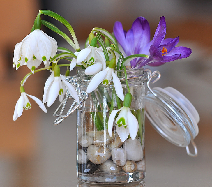 snowdrop, lily of the valley, crocus, flowers, white, purple, stones