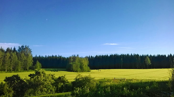 поле, двор, в землището на, небе, пейзаж, лято, Финландски