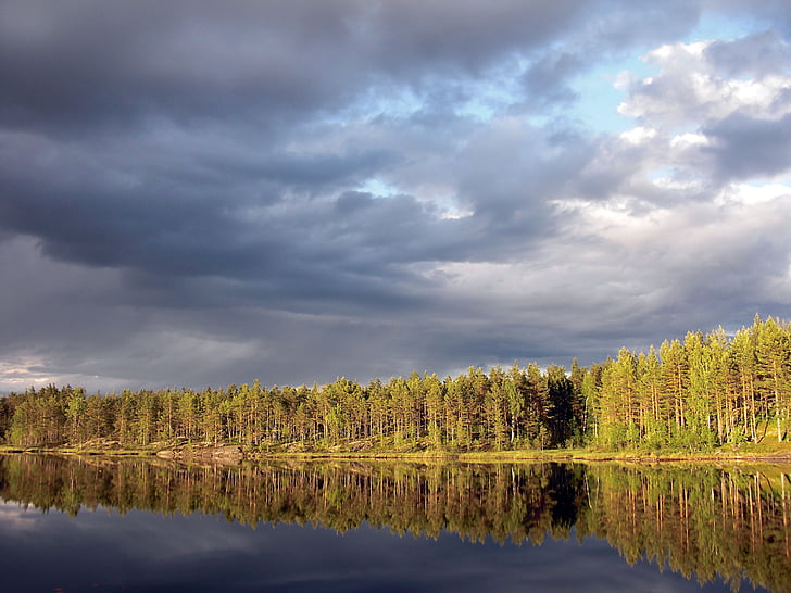 aklangen, Ringerike, floresta, lagos de floresta isolada, reflexão, natureza, Lago