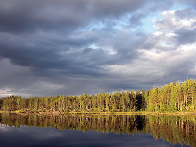 aklangen, Ringerike, Forest, lacs de la forêt isolée, réflexion, nature, Lac