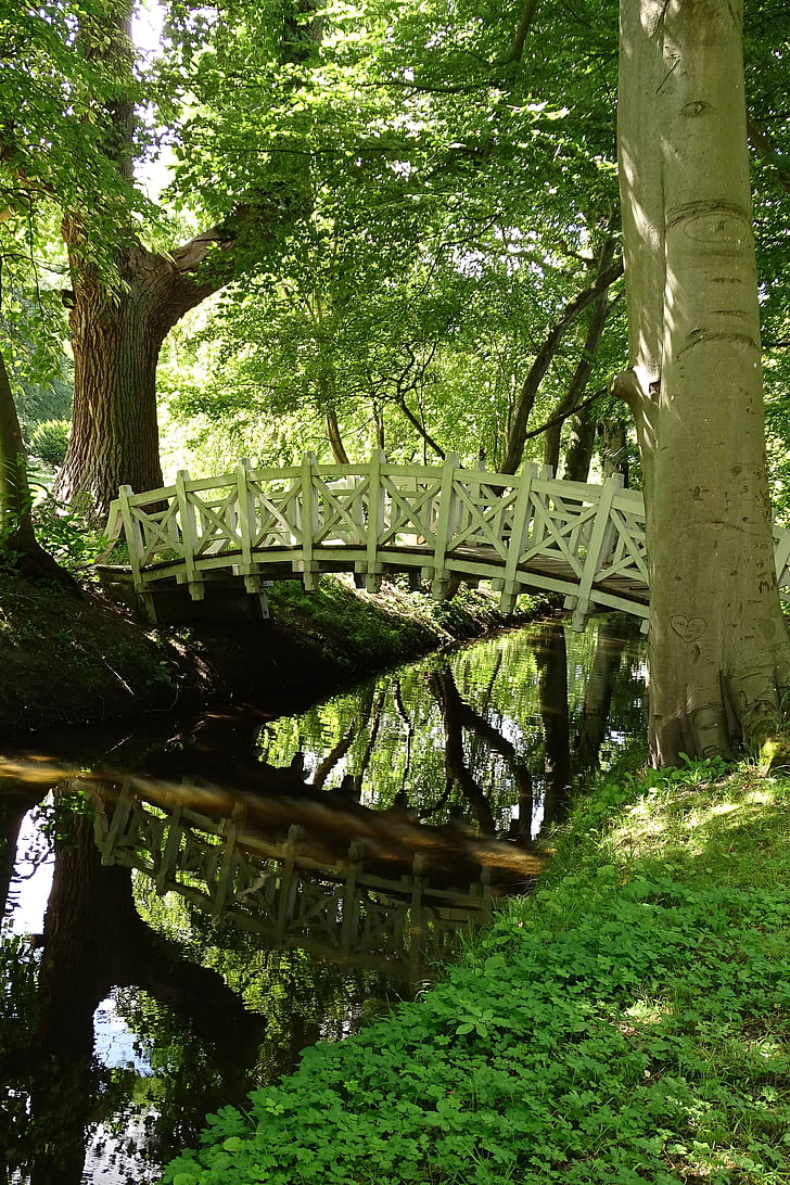 puente, bosque, naturaleza, antiguo, sendero del bosque, espejado, Scenic