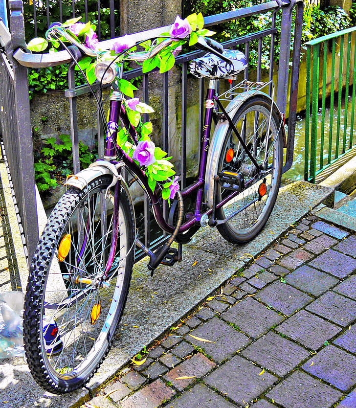 bicikl, Augsburg, uređena, cvijeće, bicikala, ulica, urbanu scenu
