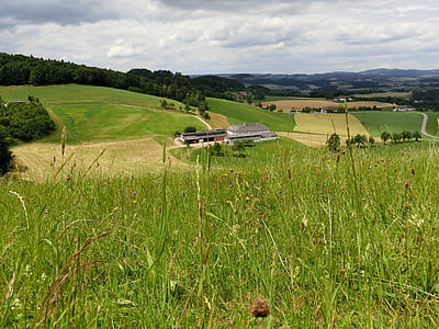 Austria, Alm, łąka, krajobraz, pastwiska, zielony