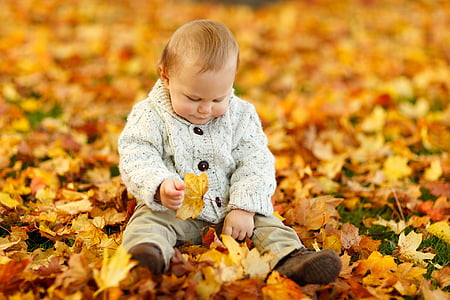 Outono, criança, bonito, Outono, criança, folhas, ao ar livre