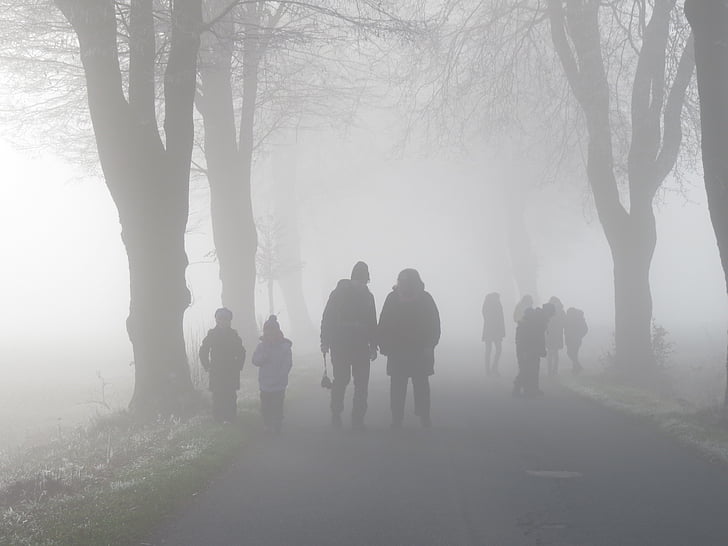 fog, human, avenue, away
