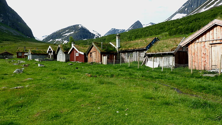 cases, Cases rurals, Noruega, natura, l'agricultura, granja de cabra, gespa