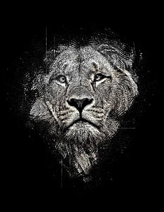 lion, lion abstract, abstract, black and white, black, magic, black abstract
