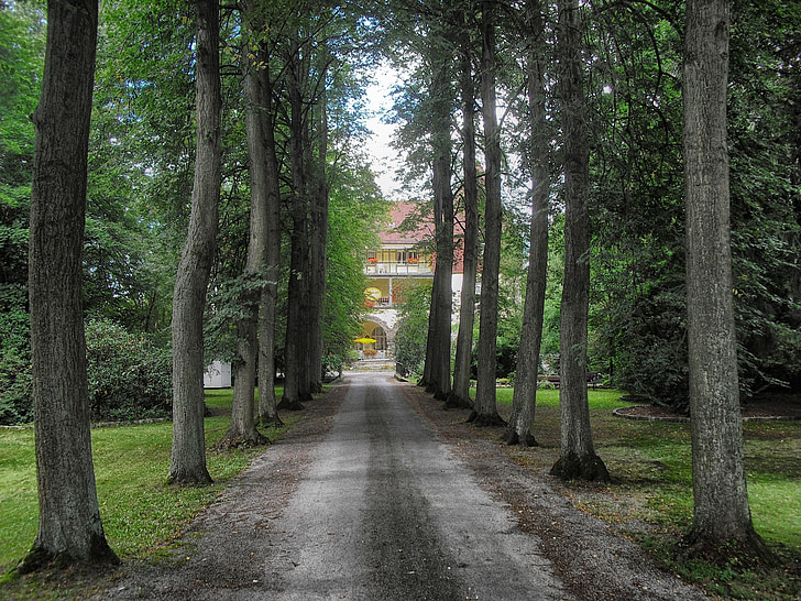 Paderborn, Njemačka, krajolik, kuća, Naslovnica, arhitektura, stabla