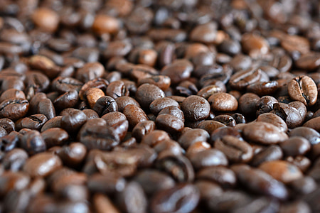 cafè, grans de cafè, fesols, rostit, cafeteria, marró, aroma de