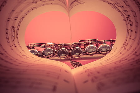 fleita, sidabrą, padengtą, muzika, priemonė, klasikinis, skersine fleita, meilės muzikai