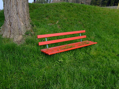 Sitzbank, Rest, Natur, im freien, Grass, Parken Sie-Mann machte Platz, Baum