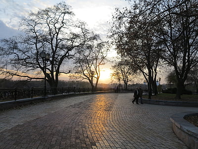 paving stone, sunset, park, alley, tree, outdoors, nature