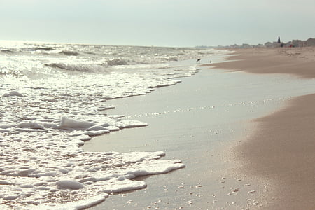 persoană, luând, Foto, corpul, apa, plajă, nisip