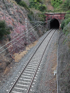 鉄道, オンライン, 経由で, トンネル, 古い, トラフィック ライト, カテナリー