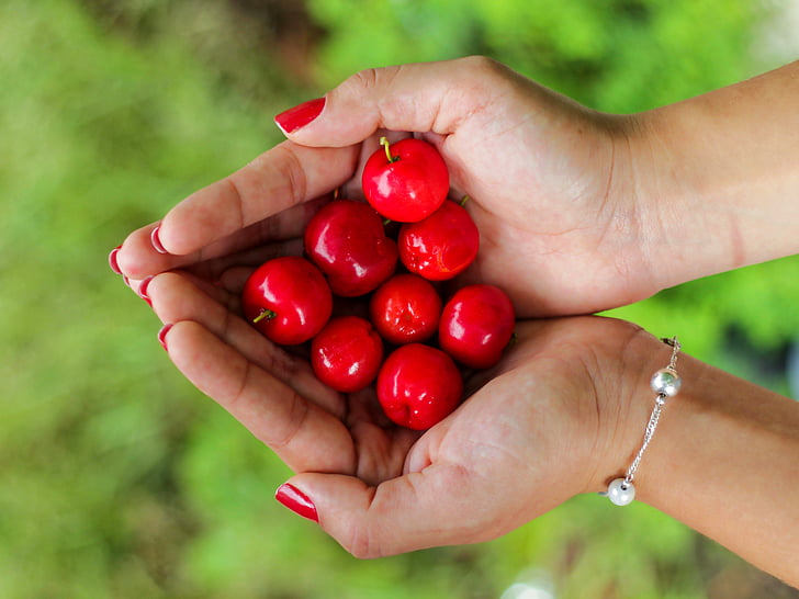 mani, Holding, ciliegie, rosso, donna, mano umana, frutta