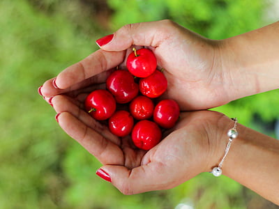 mains, Holding, cerises, rouge, femelle, main de l’homme, fruits