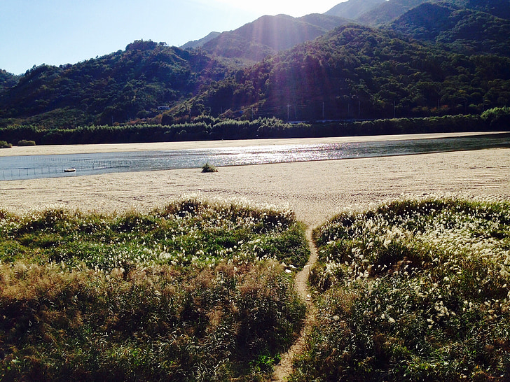 seomjin, sølv græs, Gil, floden, Mountain, sand