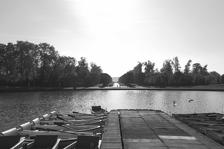 phim trắng đen, thuyền, loài cây lá kim, Dock, cây thông, Lake, Pier