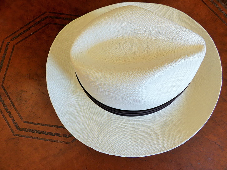 chapéu, Chapéu Panamá, homens, palha, aba, tradicional, feito à mão