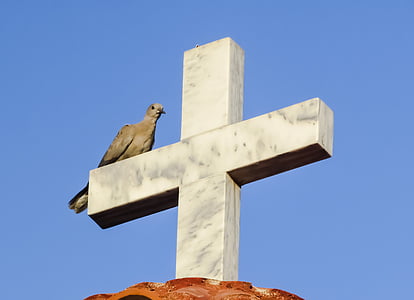 cross, wild pigeon, resting, religion, church