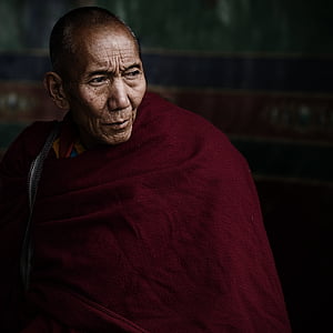 Lama, Tibet, Wechselfälle, Alter Mönch, China, nur ein Mann, älterer Erwachsener