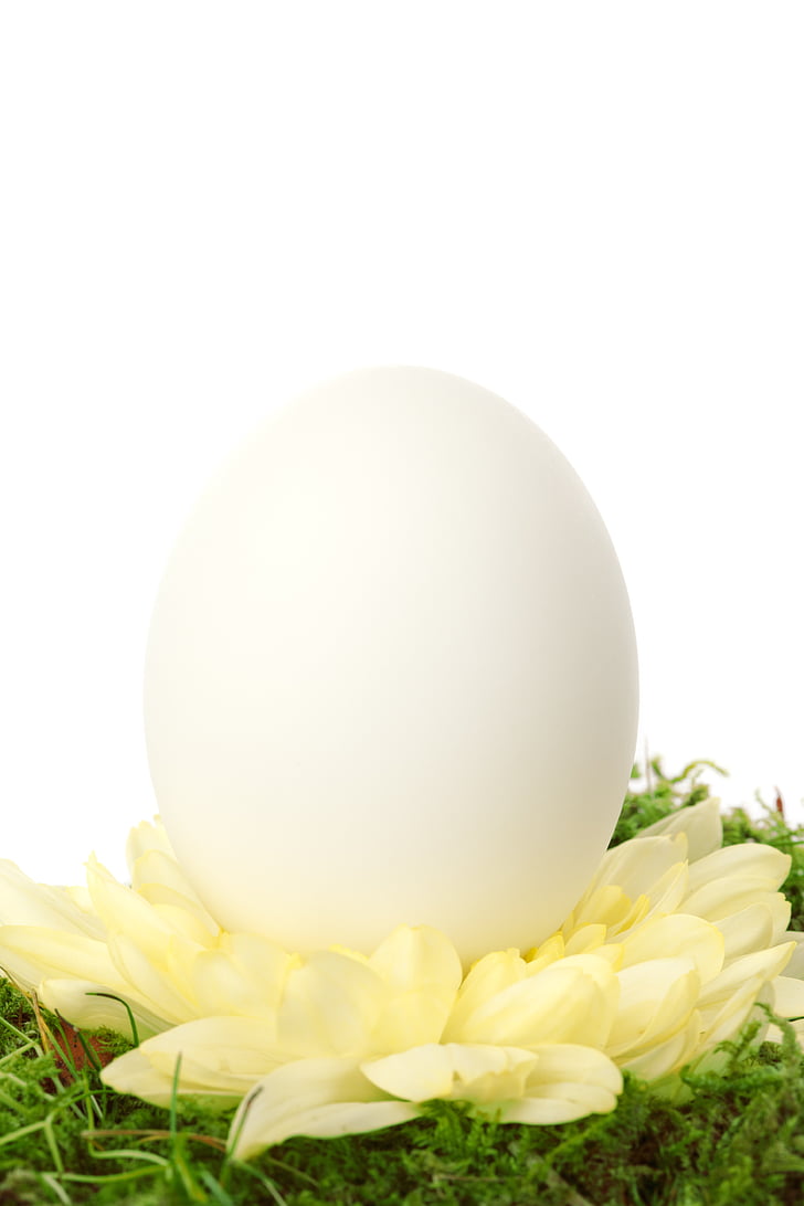 celebração, simples, decoração, decorativos, Páscoa, ovo, evento