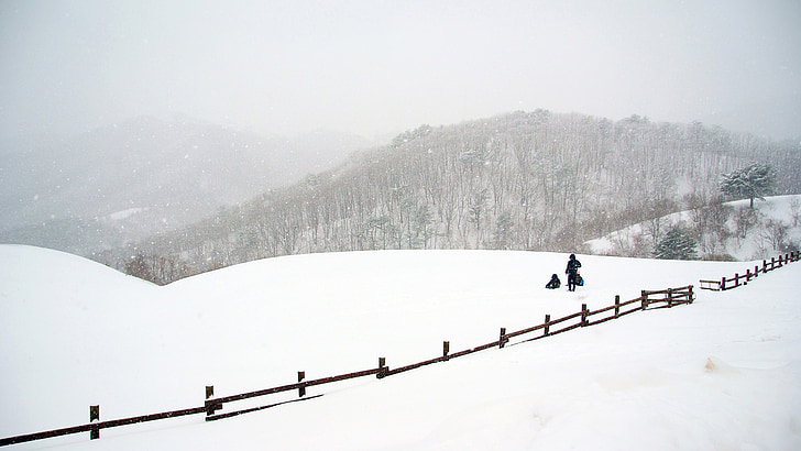klitschko, whether or not, k, snow, winter, nature, mountain